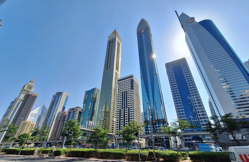 Designated Free Zones in the UAE: Complete Guide For Businesses